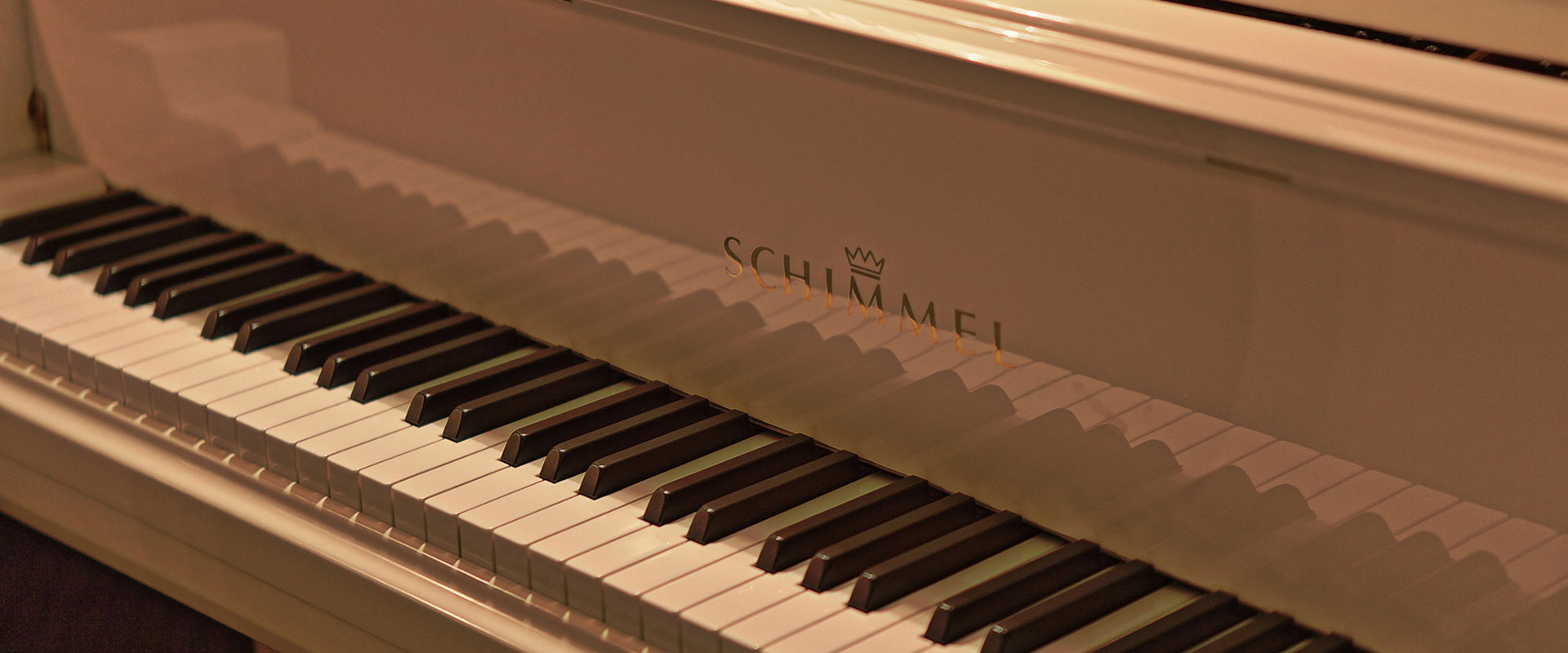 Bild unseres Schimmels